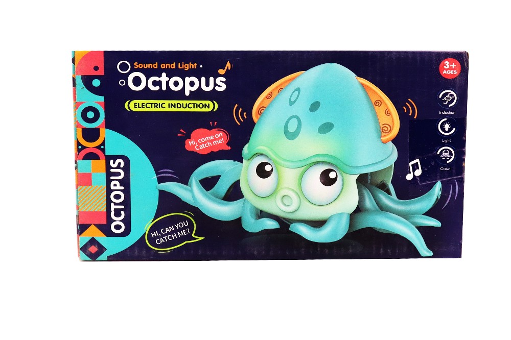 Octopus