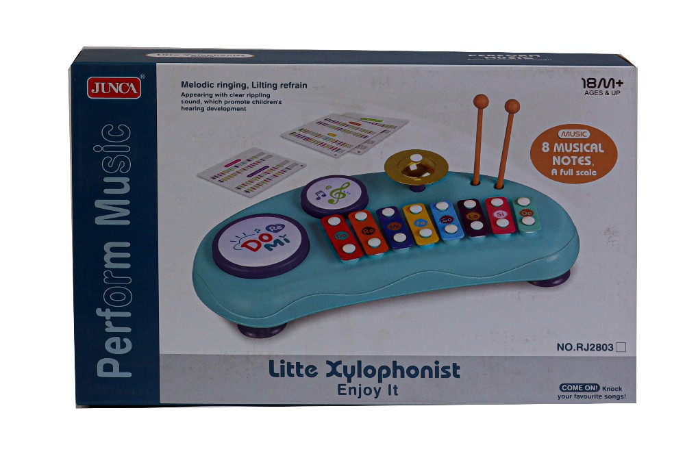 Little Xylophonist Perform Music