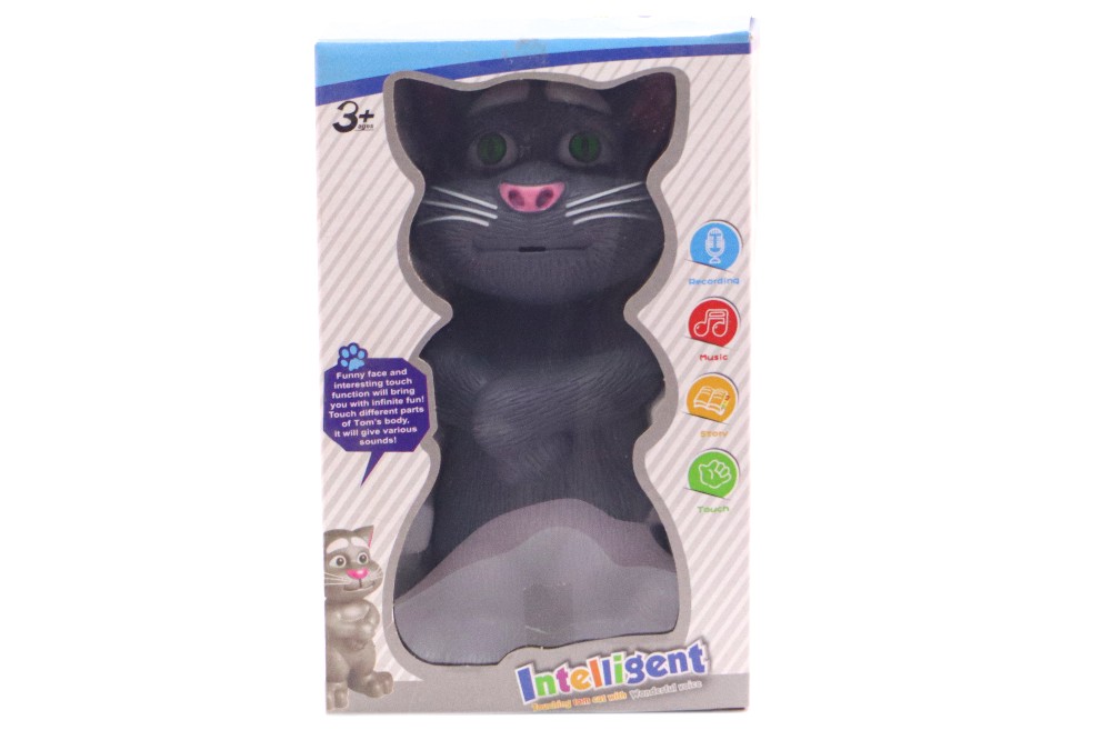 Intelligent Tom Cat