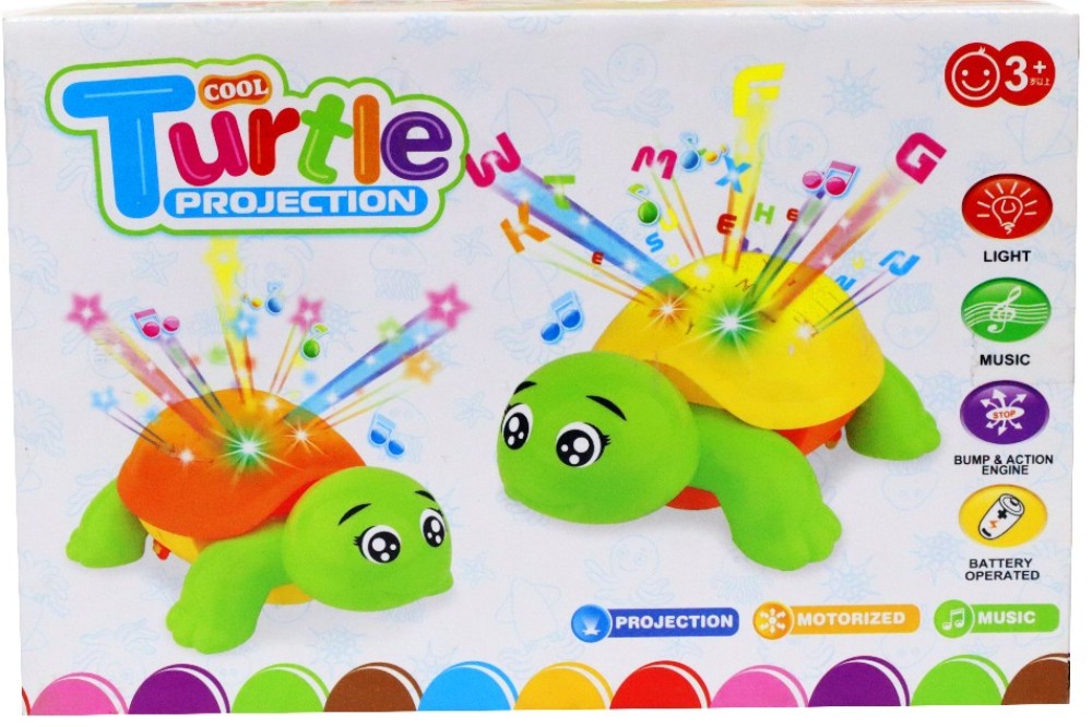 Cool Turtle Projection