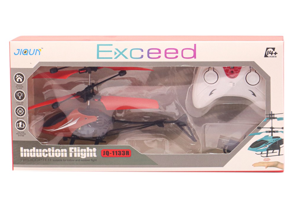 Exceed Introduction Flight