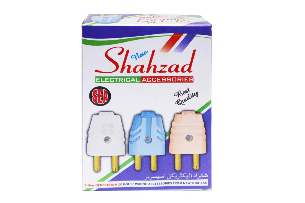 Two Pin Shoe 250, 10 Amp