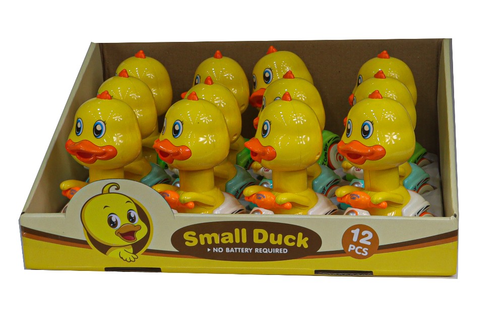 Small Duck 12 Pcs